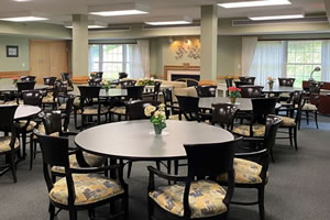 photo from heated garage